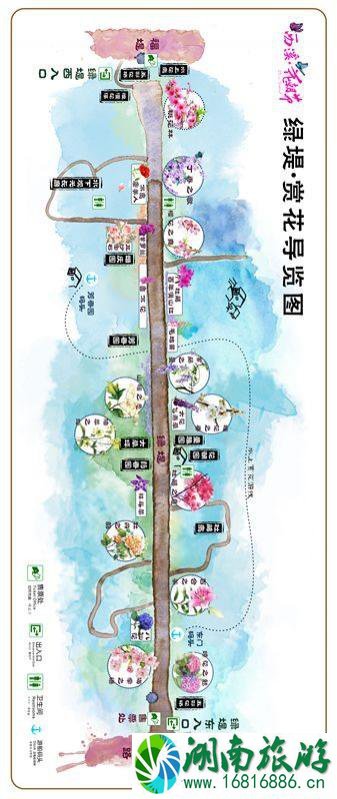 2022年西溪花朝节是什么时候开始