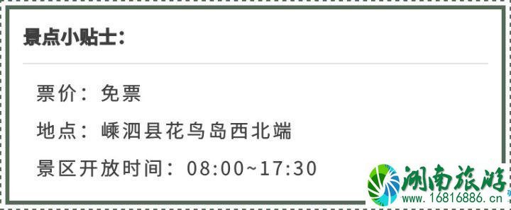 2022花鸟岛交通+食宿+景点 花鸟岛自由行旅游攻略