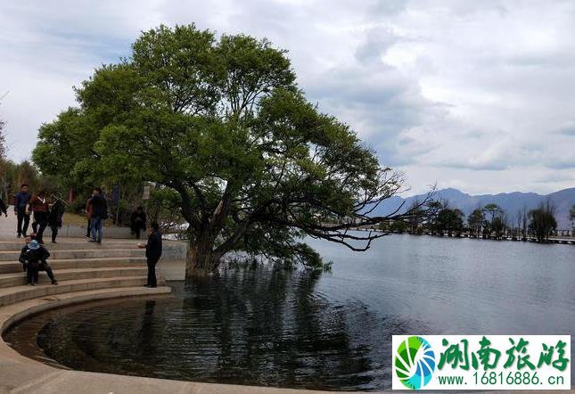 鹤庆黄龙潭风景区图片+游记作文