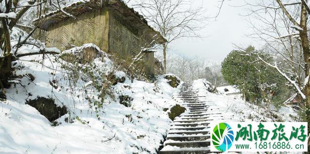 2022西岭雪山门票价格+优惠政策学生票