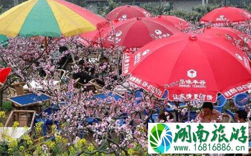 2022简阳桃花节门票价格+时间+地点