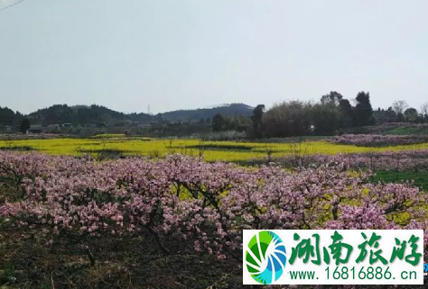 2022简阳桃花节有哪些景点