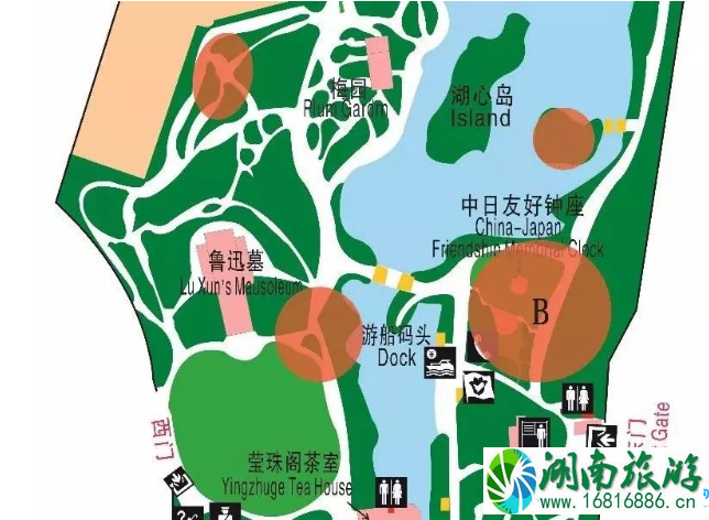 2022鲁迅公园樱花展时间+地点