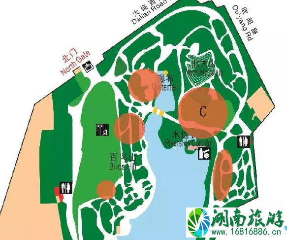 2022鲁迅公园樱花展时间+地点