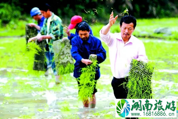 2022邛崃茶园桃花节门票价格+时间+地点