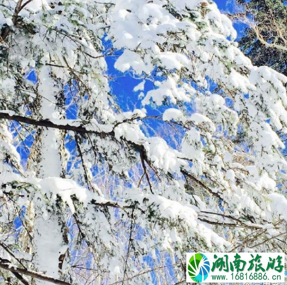 雪谷和雪乡哪个好玩 雪谷和雪乡的区别