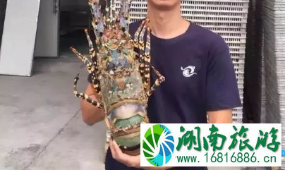 天津海博馆开馆了吗 天津海博馆在哪里