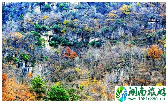 大洪山风景名胜区地图 大洪山风景区导览图