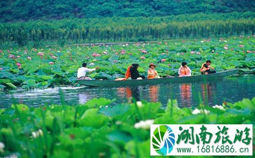 五一最适合情侣旅游的地方有哪些