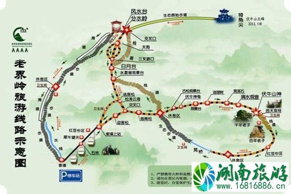 西峡恐龙遗迹园线路图 西峡恐龙遗迹园好玩吗