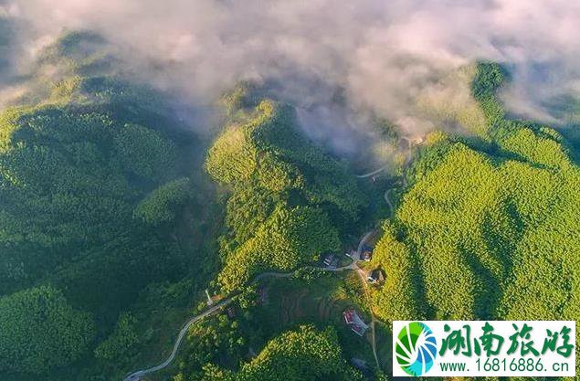 大别山在哪里哪个省的 大别山有什么好玩的