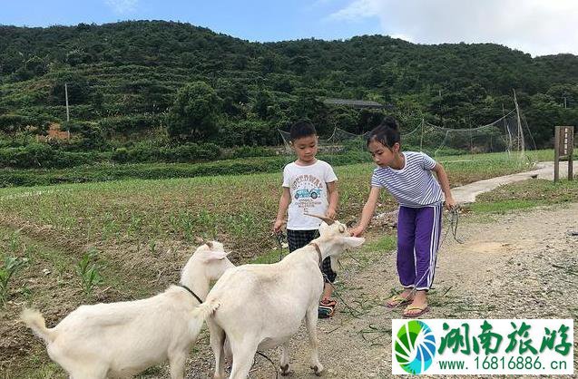 7月份可以去哪些海滨城市旅游