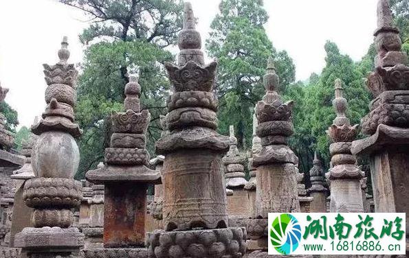 灵岩寺在哪 灵岩寺景区介绍