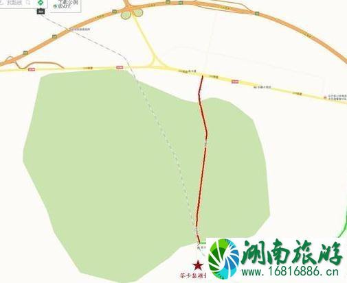 茶卡盐湖怎么进去 茶卡盐湖景区出入口路线变更通知