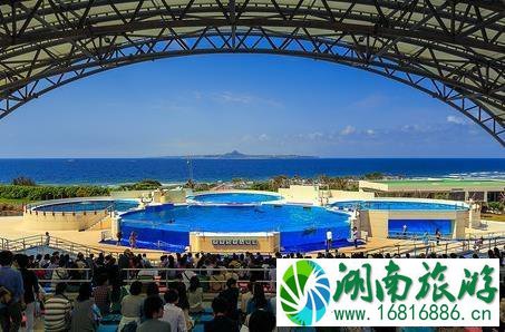 冲绳美丽海水族馆游玩攻略