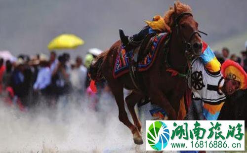 雪顿节是哪个民族的节日 雪顿节是什么时候+活动介绍