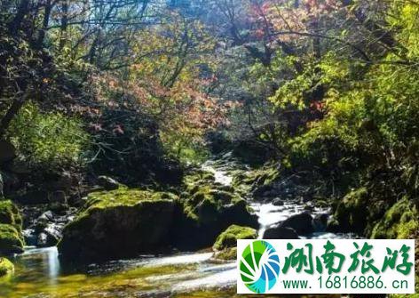 秦岭有哪些免费景点 秦岭免费景点介绍2022