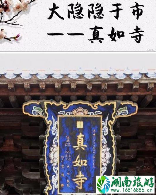 真如寺怎么走