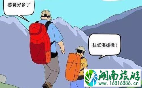 适合中老年人旅游的地方