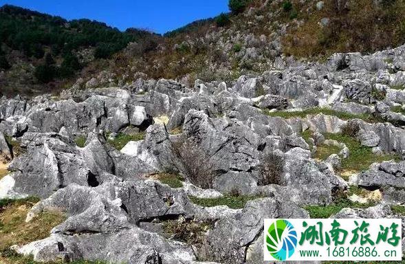 镇安北羊山在哪 一个徒步旅行圣地