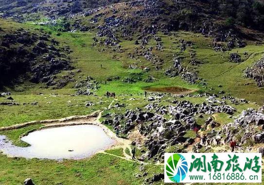 镇安北羊山在哪 一个徒步旅行圣地