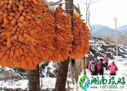 镇安北羊山在哪 一个徒步旅行圣地