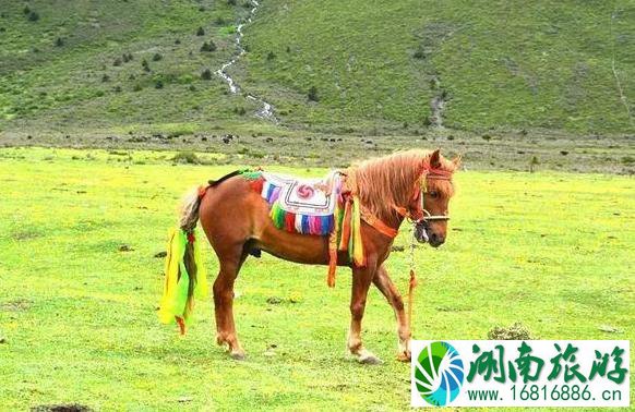 木雅圣地好玩吗 木雅圣地景区游玩攻略