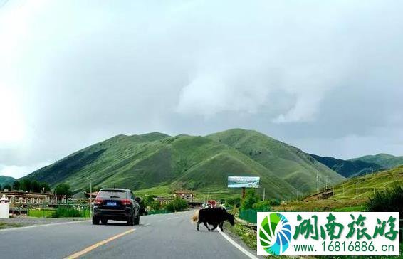 木雅圣地好玩吗 木雅圣地景区游玩攻略