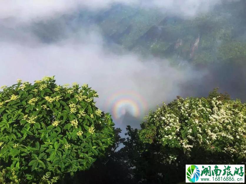 梵净山怎么去 梵净山旅游攻略