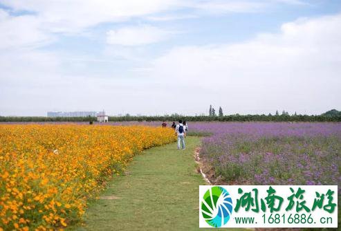 固城湖水慢城好玩吗 固城湖水慢城门票+交通