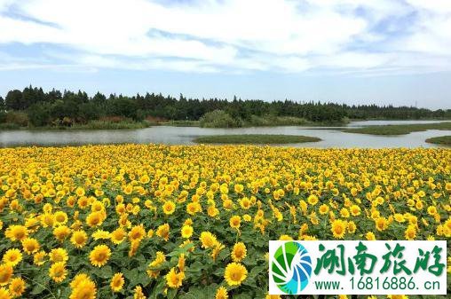 固城湖水慢城好玩吗 固城湖水慢城门票+交通