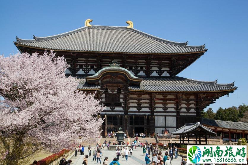 奈良一日游怎么安排为好 奈良旅游必去景点