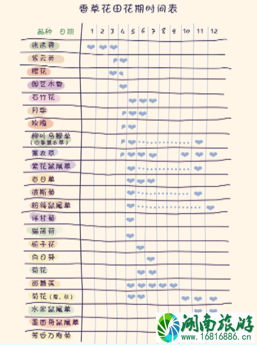 2022蔡甸香草花田门票价格+优惠政策+花期+交通 武汉香草花田哪里住宿