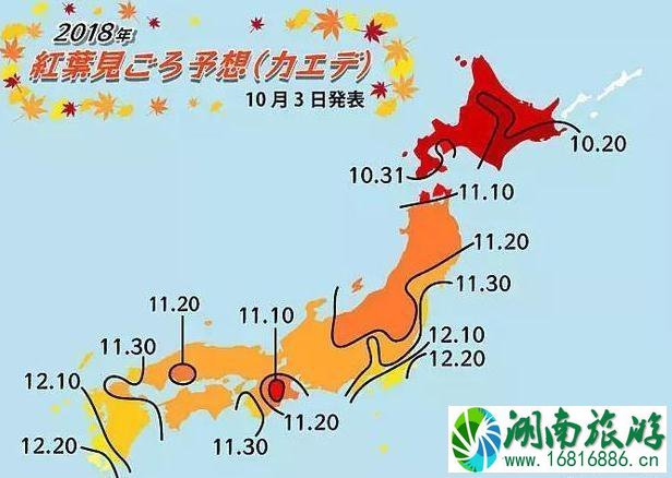 红叶狩2022时间+地点介绍