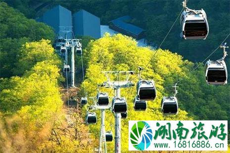 2022王屋山红叶节什么时候举办