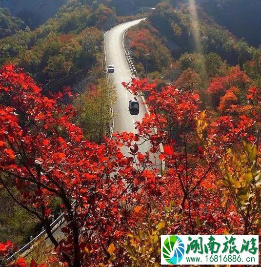 2022修陵公路维修 云台山景区暂停接待游客最新公告