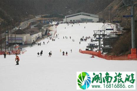 江原道滑雪攻略