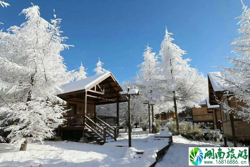 神农架冬日滑雪攻略