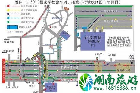 2022贵安樱花园交通出行全攻略