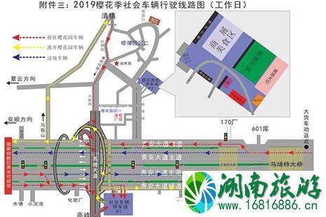 2022贵安樱花园交通出行全攻略