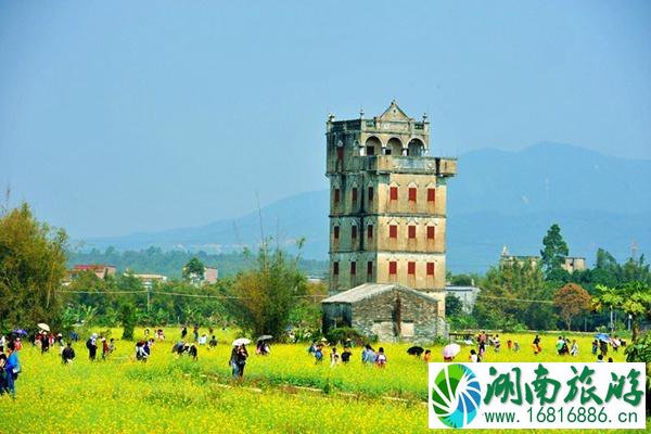 油菜花最好的地方是哪 每一个都值得一去