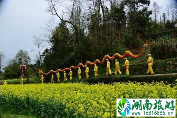 西畈油菜花赏花基地怎么样?怎么去?预约指南