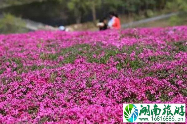 昆嵛山五大景区哪个最好