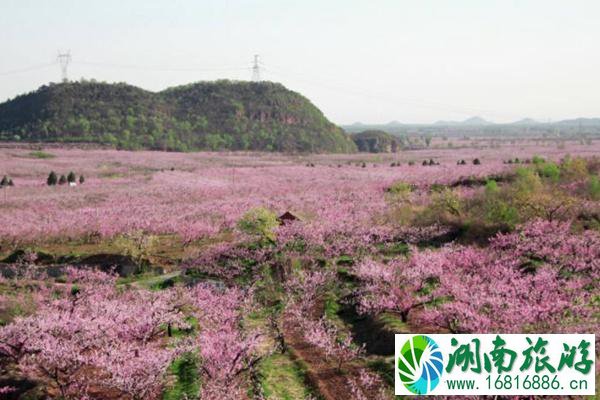 2022平谷桃花海观景最佳时间