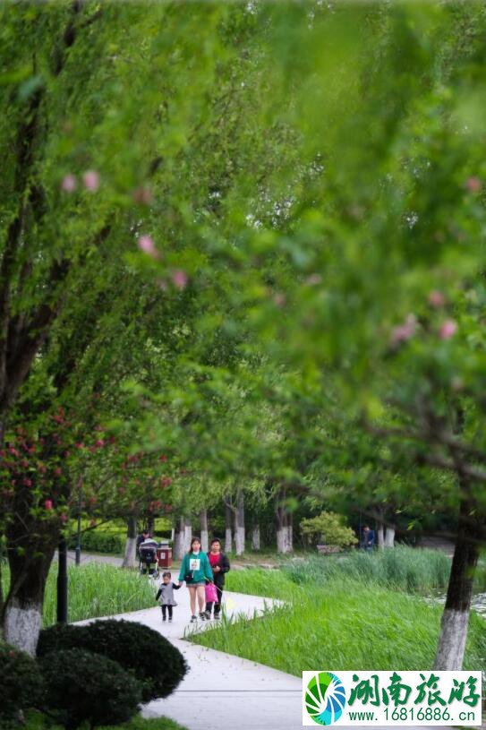 4月7日，游客在台州临海的灵湖景区观赏春色。新华社记者 徐昱 摄