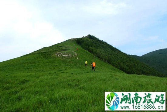 苍翠的山峰 作者：电台情歌