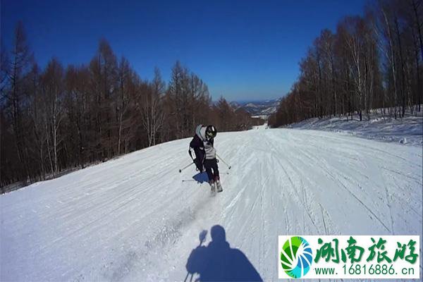 双板滑雪技术详解