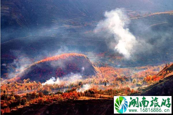 阿坝看红叶最好的地方