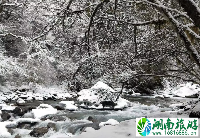 阿坝巴朗山门票价格及游玩攻略