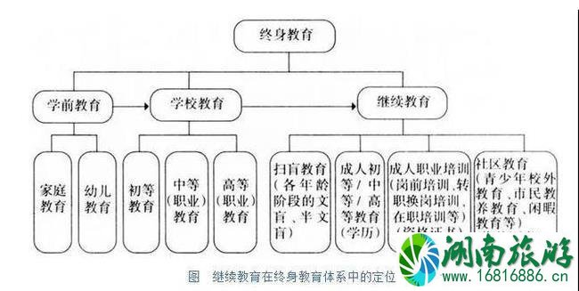 中国和爱尔兰的教育差别